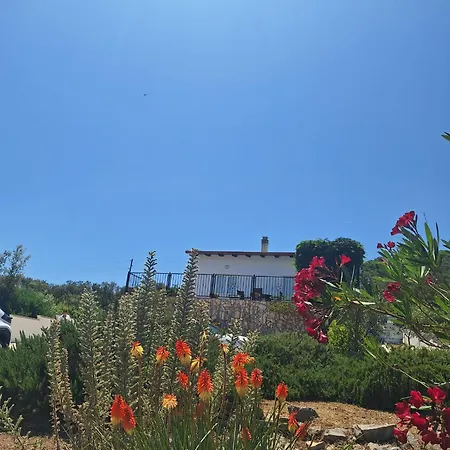 Διαμέρισμα Alemka *